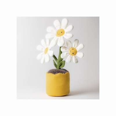 Jellycat Daisy UK | 76213ZPBT